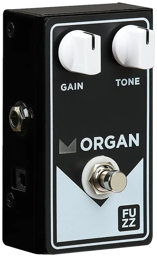 Morgan Fuzz, right side